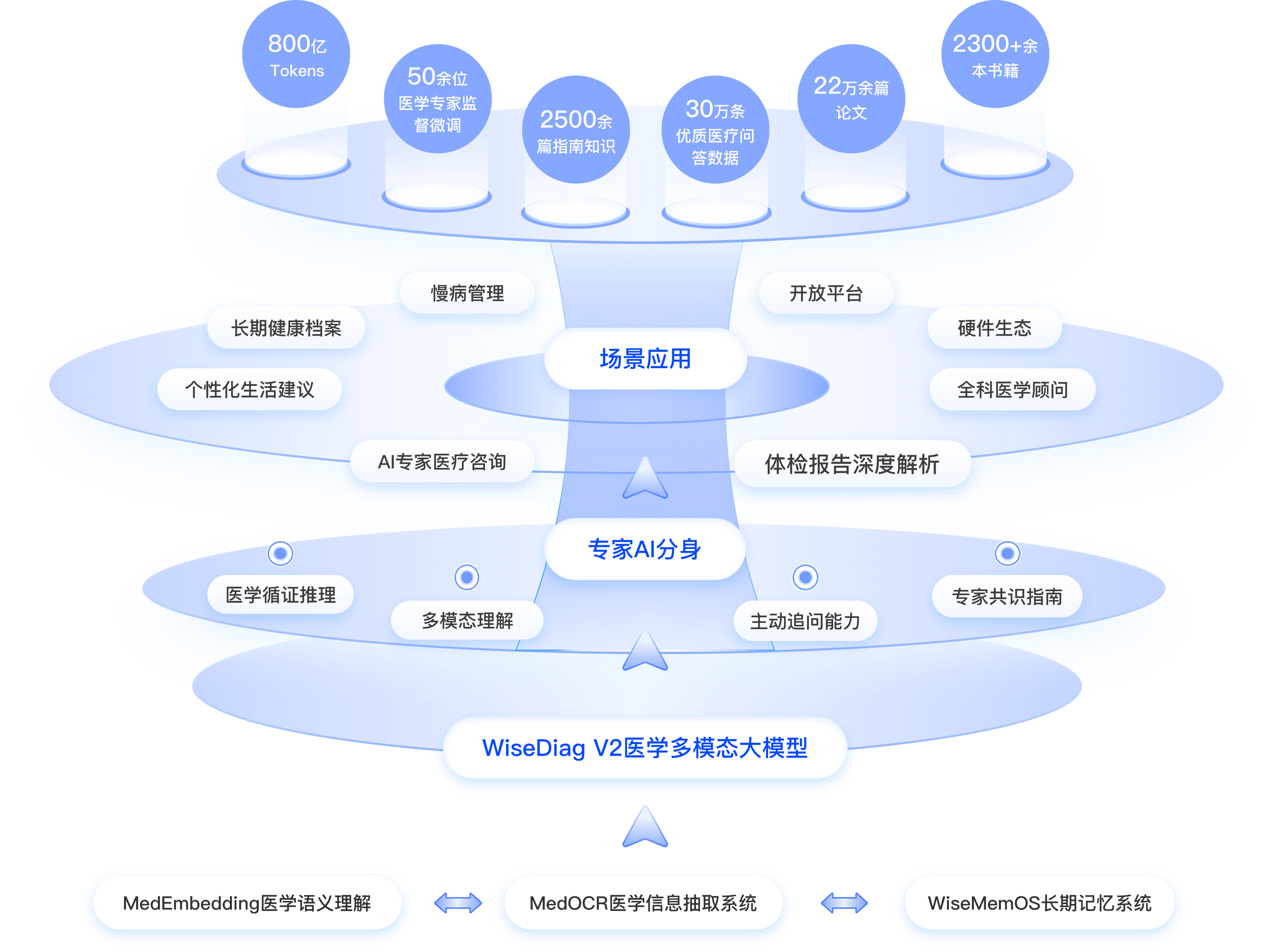 模型架构